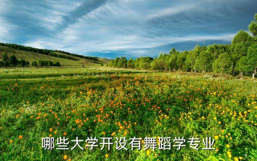 哪些大学开设有舞蹈学专业