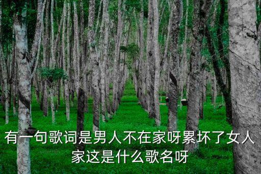 有一句歌词是男人不在家呀累坏了女人家这是什么歌名呀