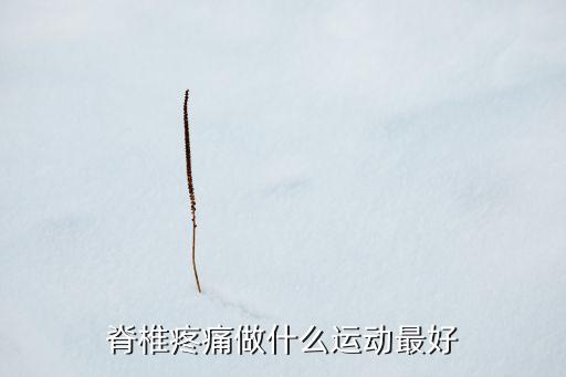 脊椎疼痛做什么运动最好