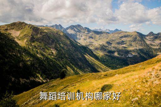 舞蹈培训机构哪家好