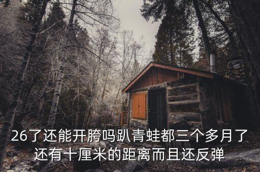 26了还能开胯吗趴青蛙都三个多月了还有十厘米的距离而且还反弹