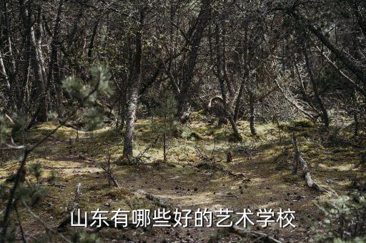 山东有哪些好的艺术学校