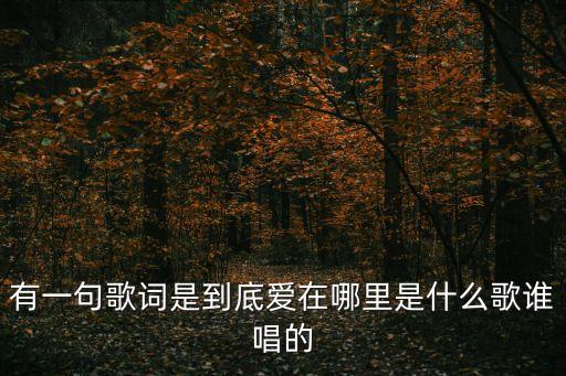 有一句歌词是到底爱在哪里是什么歌谁唱的