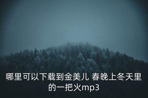 哪里可以下载到金美儿 春晚上冬天里的一把火mp3