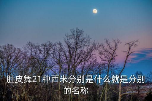 肚皮舞21种西米分别是什么就是分别的名称