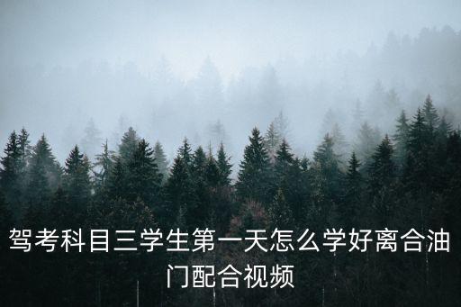 驾考科目三学生第一天怎么学好离合油门配合视频