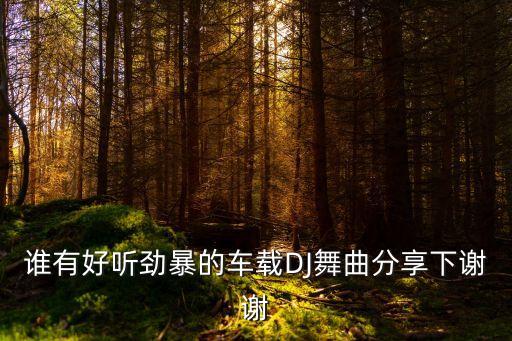 谁有好听劲暴的车载DJ舞曲分享下谢谢