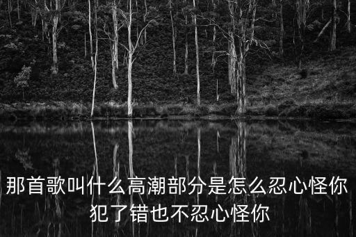 那首歌叫什么高潮部分是怎么忍心怪你 犯了错也不忍心怪你