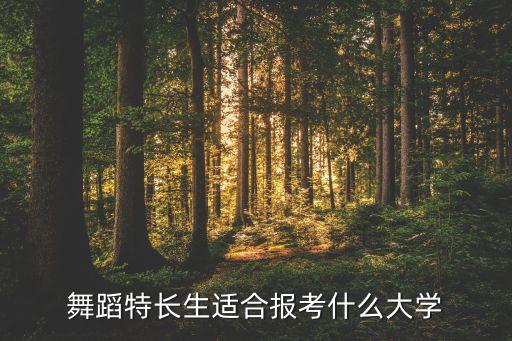 舞蹈艺考生可以考什么大学最好，舞蹈特长可以考什么大学