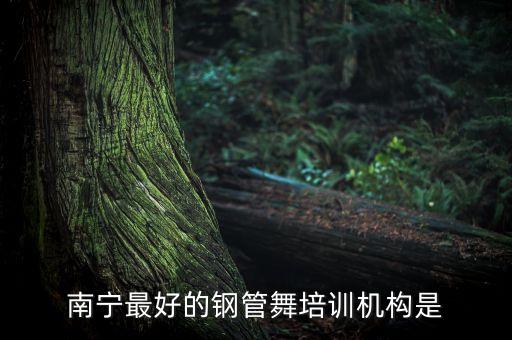 南宁最好的钢管舞培训机构是