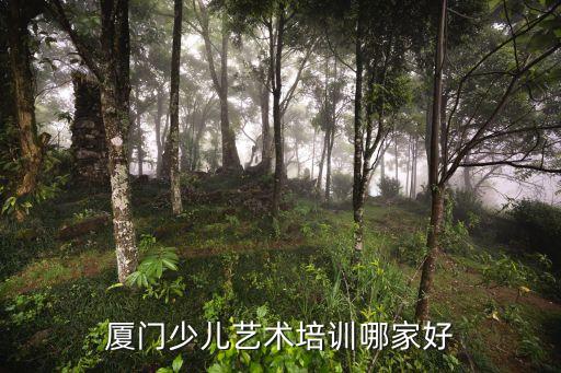 厦门少儿艺术培训哪家好