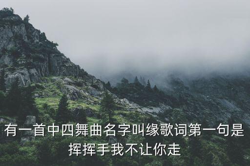 有一首中四舞曲名字叫缘歌词第一句是挥挥手我不让你走