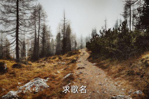 求歌名