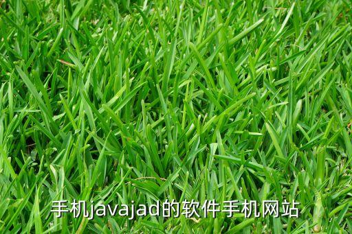 手机javajad的软件手机网站