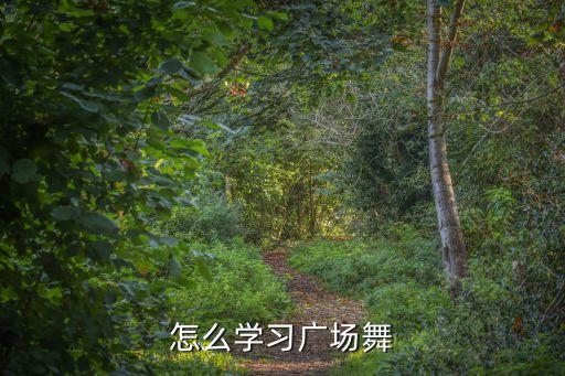 怎么学习广场舞