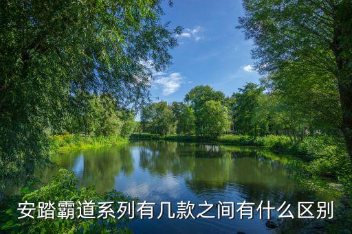 牛霸道运动鞋，这是什么牌子的鞋