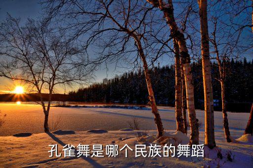 舞蹈孔雀灵属于什么舞，一什么孔雀舞