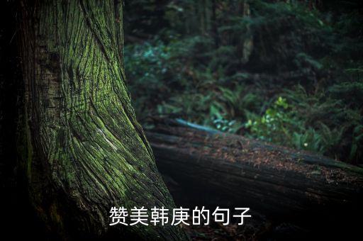 怎么赞美舞者身材，关于写手帕作文的开头和结尾