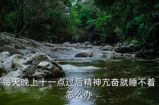 每天晚上十一点过后精神亢奋就睡不着怎么办
