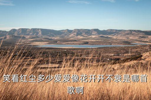 笑看红尘多少爱爱像花开开不衰是哪首歌啊