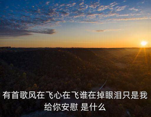 歌在飞心在飞是什么歌，开头唱云在飞心也在飞这首歌的歌名我朋友要谢谢