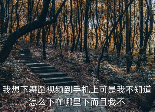 我想下舞蹈视频到手机上可是我不知道怎么下在哪里下而且我不