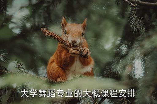 大学舞蹈生都学什么名字，高考后舞蹈特长生在大学有什么专业