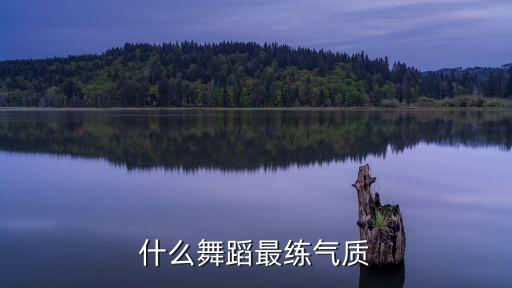 什么舞蹈最练气质