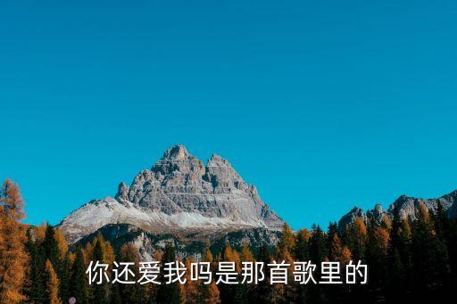 你还爱我吗是那首歌里的