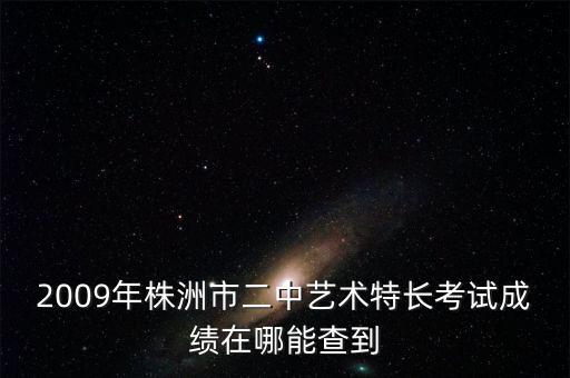 2009年株洲市二中艺术特长考试成绩在哪能查到