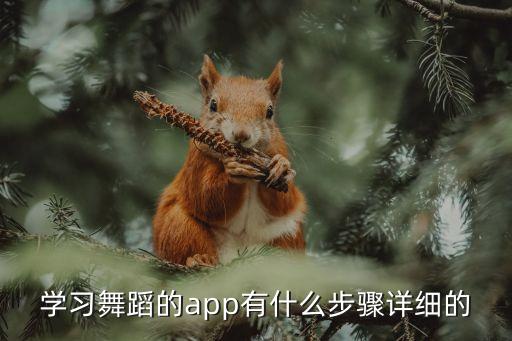 学习舞蹈的app有什么步骤详细的