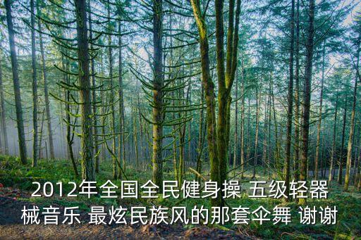 2012年全国全民健身操 五级轻器械音乐 最炫民族风的那套伞舞 谢谢