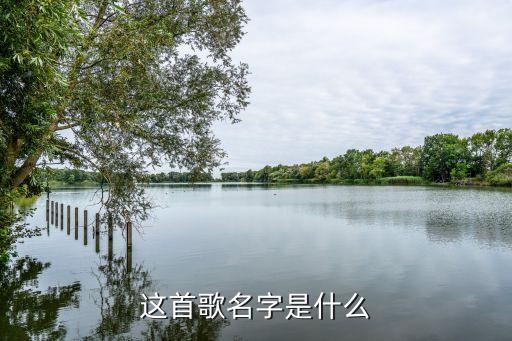 这首歌名字是什么