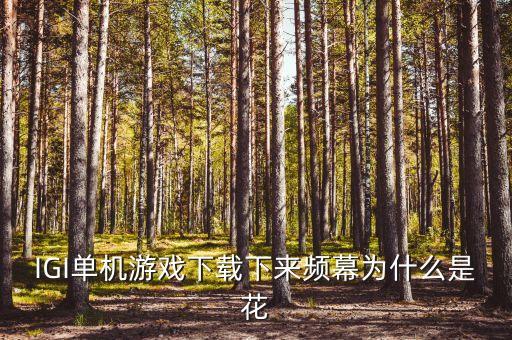 IGI单机游戏下载下来频幕为什么是花
