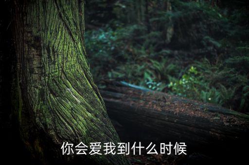 你会爱我到什么时候