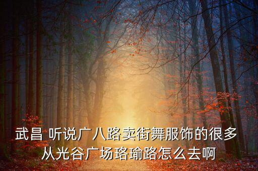武昌 听说广八路卖街舞服饰的很多 从光谷广场珞瑜路怎么去啊