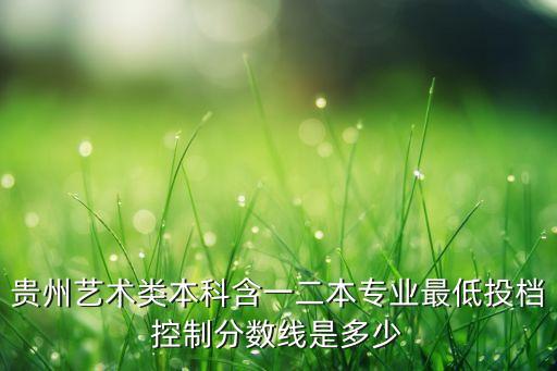 贵州艺术类本科含一二本专业最低投档控制分数线是多少