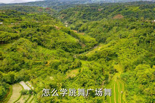 怎么学跳舞广场舞