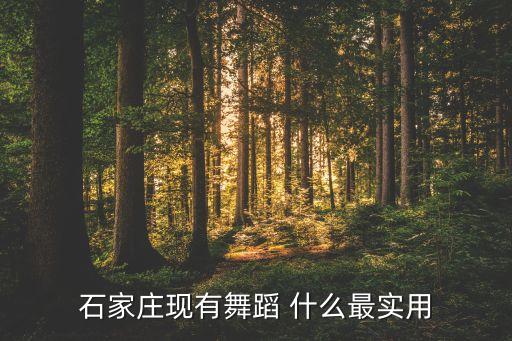 石家庄现有舞蹈 什么最实用