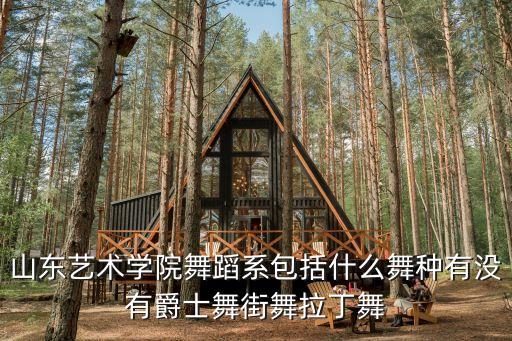 济南艺术学校舞蹈专业，山东艺术学院舞蹈系包括什么舞种有没有爵士舞街舞拉丁舞