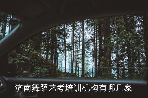 济南舞蹈艺考培训机构有哪几家