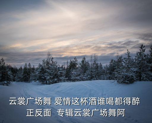 云裳广场舞 爱情这杯酒谁喝都得醉 正反面  专辑云裳广场舞阿