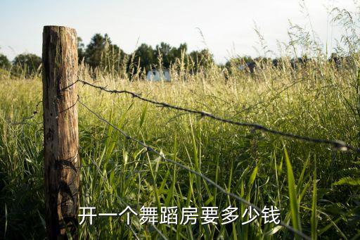 开一个舞蹈房要多少钱