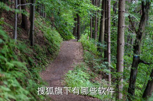搜狐神器，我要下载搜狐软件