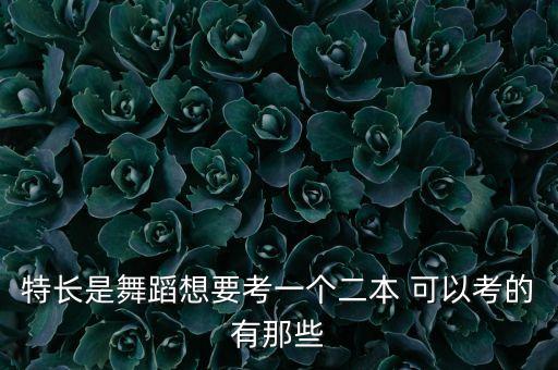 特长是舞蹈想要考一个二本 可以考的有那些