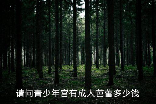 芭蕾舞蹈班多少钱一节课，泸州是不是有个美琪舞蹈培训学校我想问一下学芭蕾一般收费是多少