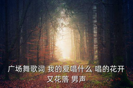 广场舞我的歌唱什么歌，广场舞歌词 我的爱唱什么 唱的花开又花落 男声