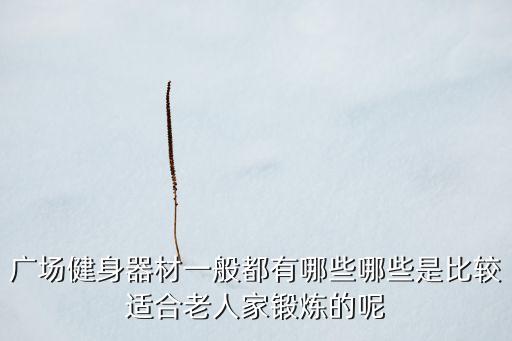 广场健身器材一般都有哪些哪些是比较适合老人家锻炼的呢