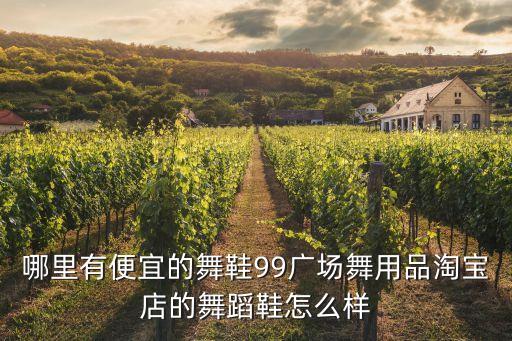 哪里有便宜的舞鞋99广场舞用品淘宝店的舞蹈鞋怎么样