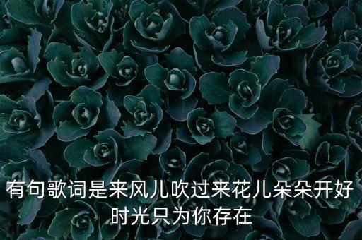 来风儿吹过来花儿朵朵开是什么歌，有句歌词是来风儿吹过来花儿朵朵开好时光只为你存在